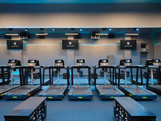 Bootcamp — Hero’s Journey Colibri